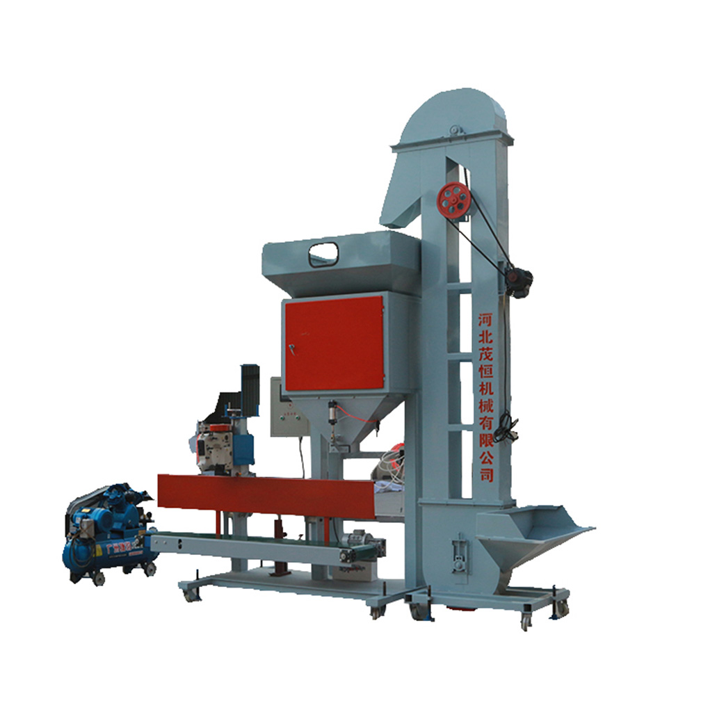 Best Price for China Granule Packing Machine - Bagging Scale System-MH-10 – Maoheng